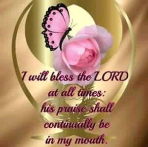 Meet your Posher, Carol